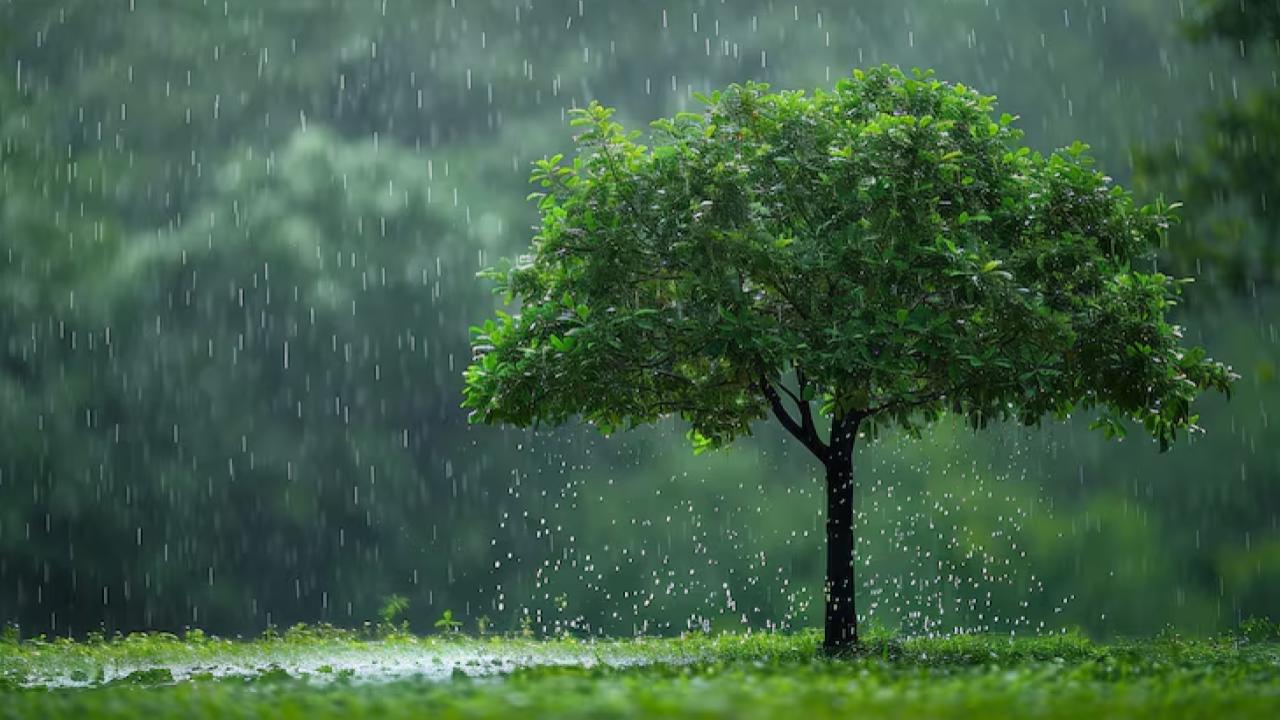 UP Monsoon Alert: 37 Districts to Be Hit by Heavy Rain in Next 12 Hours — Full Guide & Safety Tips