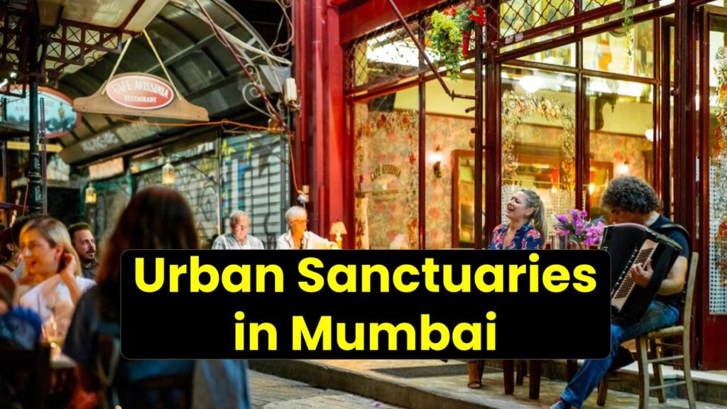 Urban Sanctuaries in Mumbai: How Organic Cafes Are Revolutionizing Conscious Dining