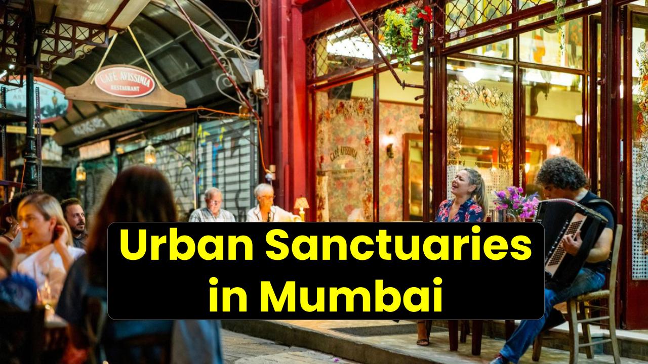 Urban Sanctuaries in Mumbai: How Organic Cafes Are Revolutionizing Conscious Dining